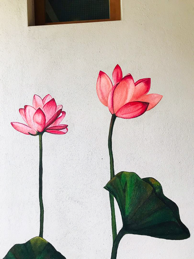 Hand-painted pink lotus blossoms with green leaves on a white wall